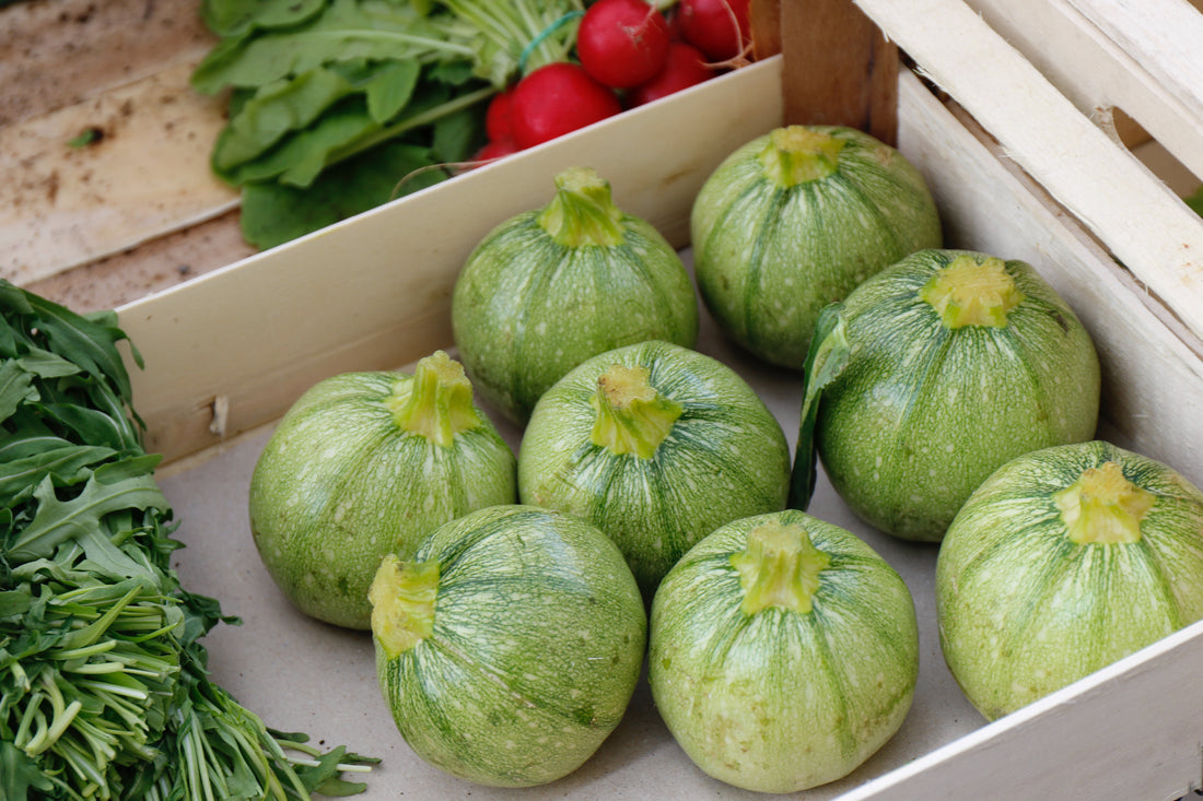 Saisonale Rezepte - Zucchini-Puffer